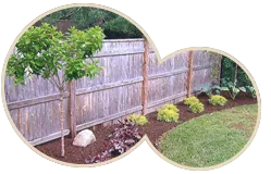 Fenced Garden